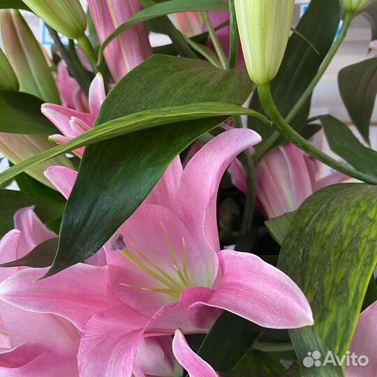 Цветы с доставкой