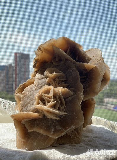 Минерал- роза пустыни. Большая