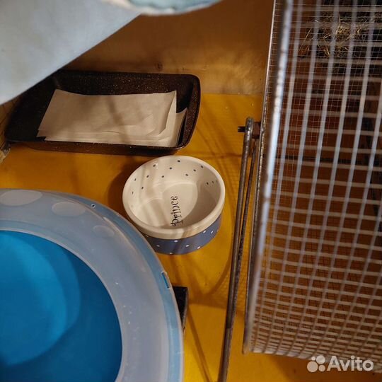 Клетка для шиншиллы (130*65*66 см) и аксессуары