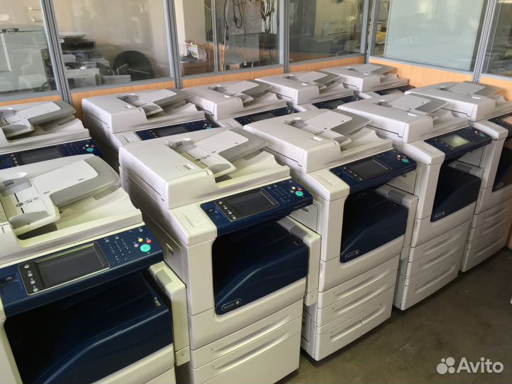 Мфу Xerox WorkCentre 5335 мфу А3 флешка вход