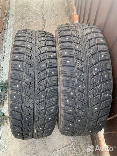 Delinte Winter WD52 195/65 R16