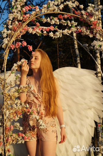 Крылья ангела