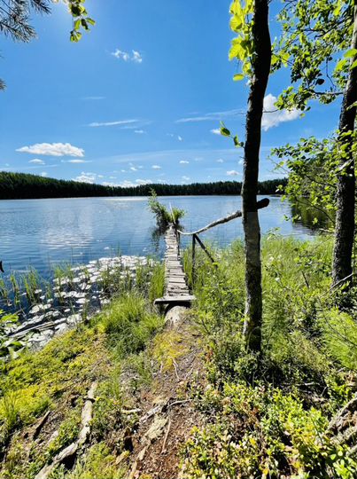 Дом 50 м² на участке 2 га