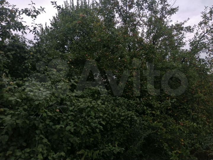 Участок 12 сот. (СНТ, ДНП)