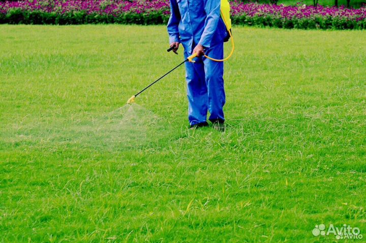 Рулонный газон Стандарт