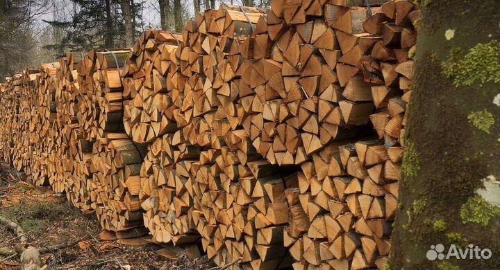 Дрова береза нарубленные