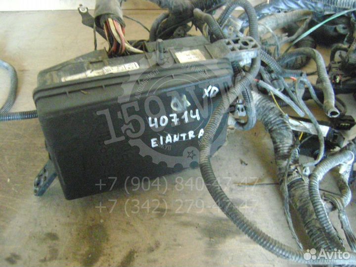 Проводка (коса) Hyundai Elantra 3 (XD)