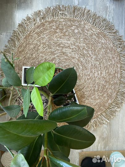 Джутовый ковер