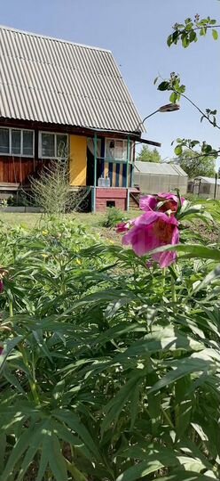 Дача 24 м² на участке 13 сот.