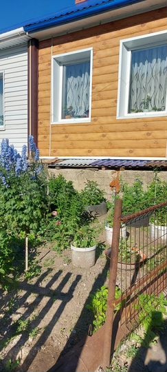 Дом 24 м² на участке 3 сот.