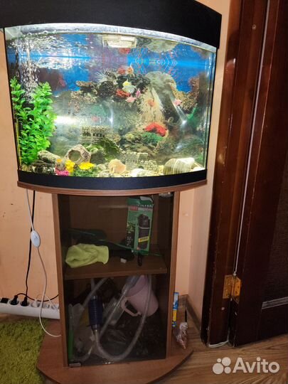 Аквариум с тумбой