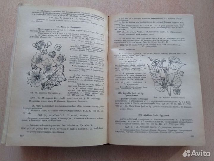 Определитель высших растений Европ.части СССР 1949