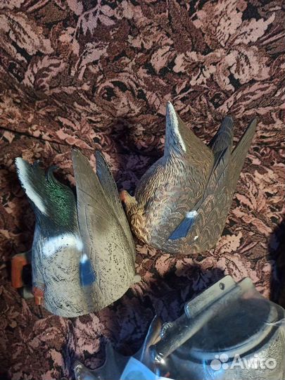 Муляж утки/селезня ныряющей Sport Plast