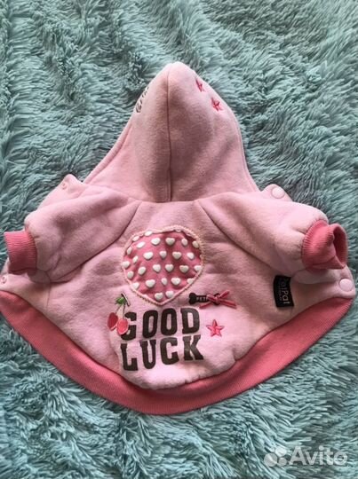 Худи для маленькой собаки