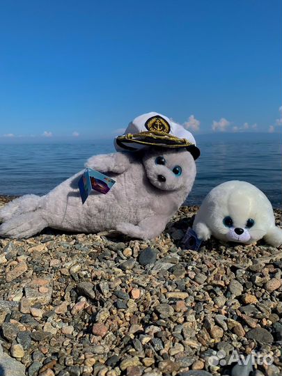 Байкальская нерпа (сувенир)