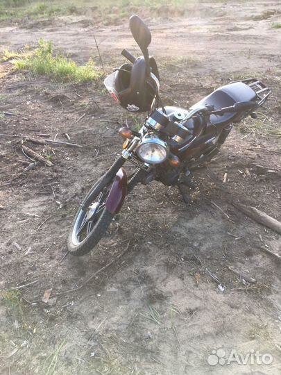 Рейсер gs110