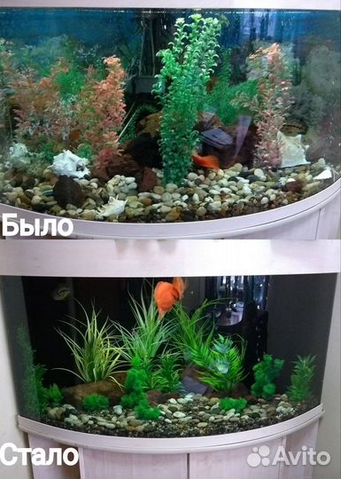 Обновление Аквариума