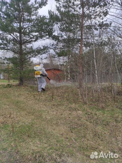 Обработка участков от клещей,покос травы тримером