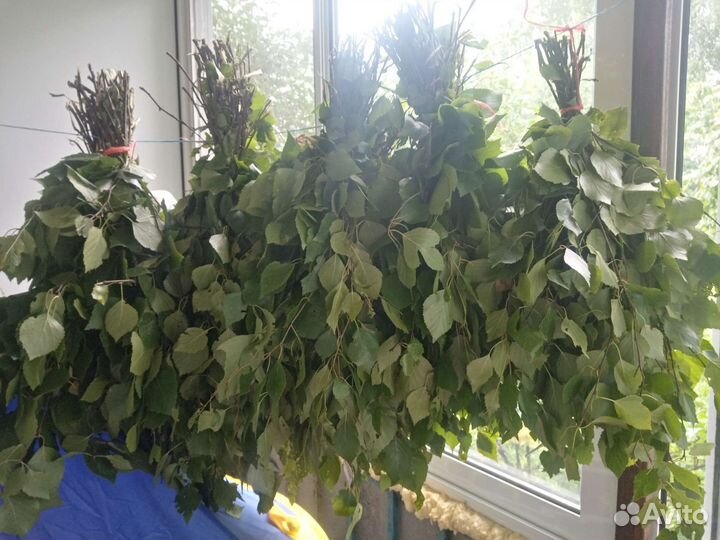 Веники для бани