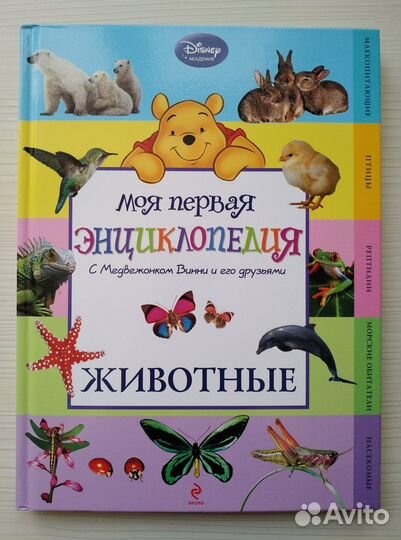 Моя первая энциклопедия с Винни - 