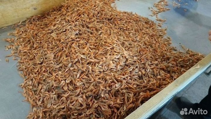 Креветка азовская с доставкой