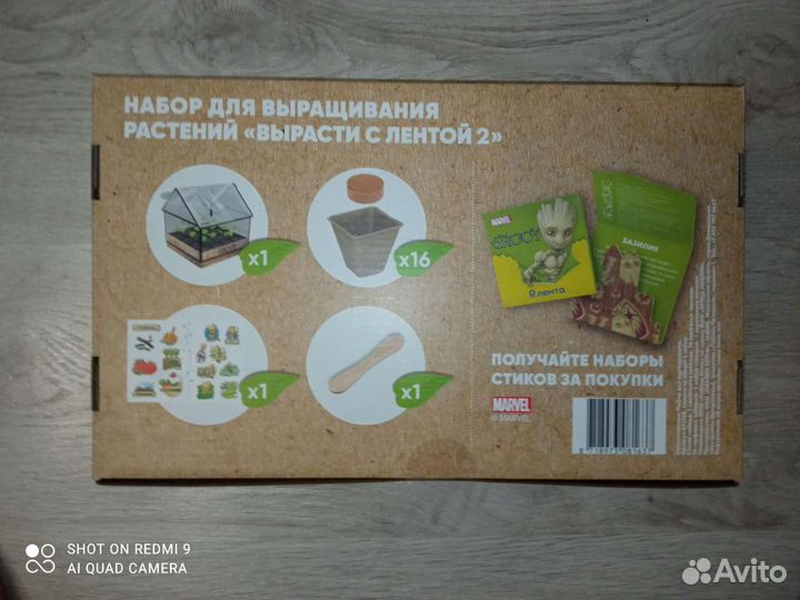 Теплица комнатная, набор для выращивания растений