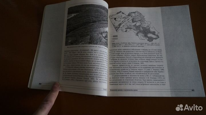 919,18 Бондарев А.Я. Волк юга Западной Сибири и Ал