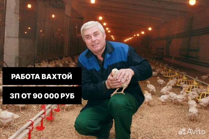 Упаковщик фасовщик (вахта, проживание, питание)