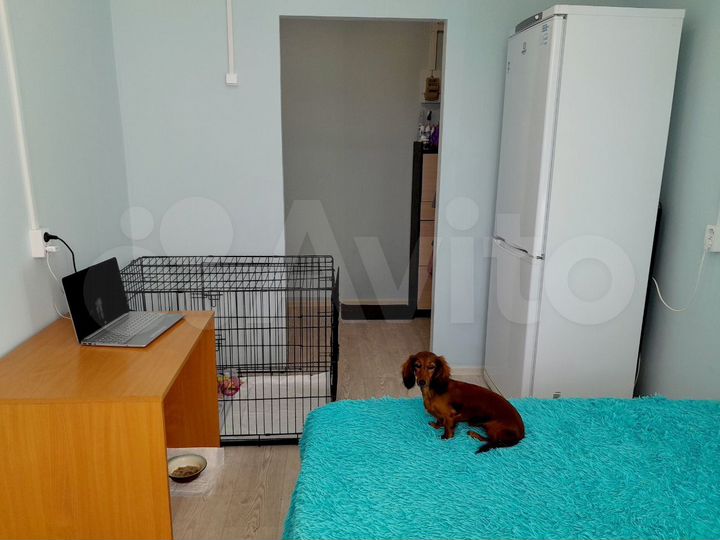 Комната 13,9 м² в 4-к., 2/3 эт.