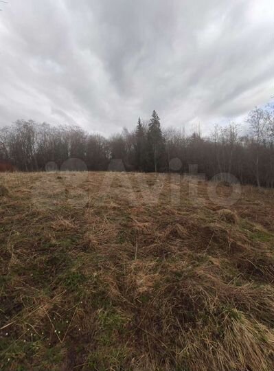 Участок 64 сот. (СНТ, ДНП)