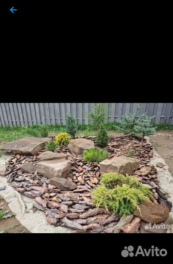 Кора сосны и сибирской лиственницы