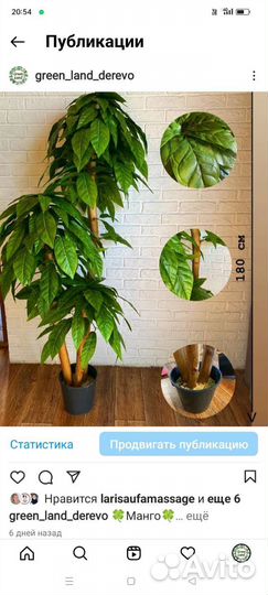 Искусственные растения