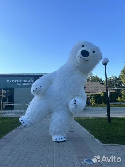 Аниматор мишка