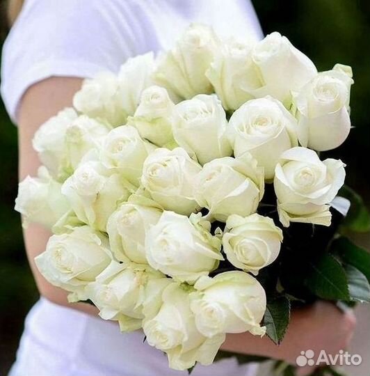 Розы Высокие 150см 160см 170см 180см 190см 2м