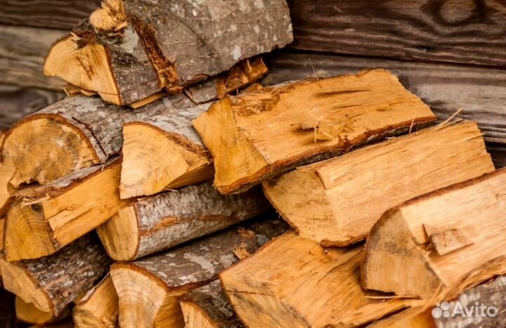 Дрова без жучков