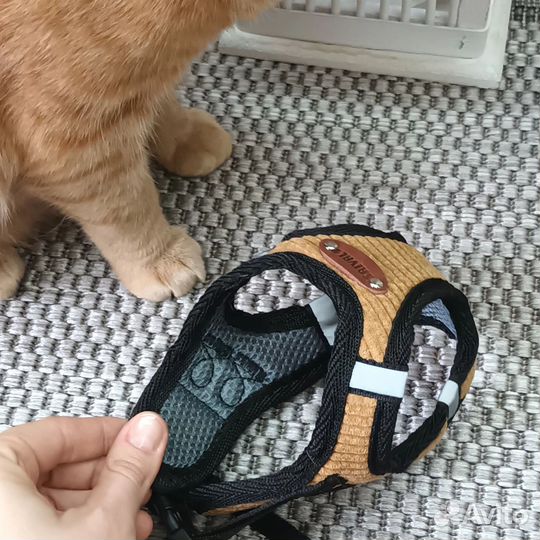 Шлейка Saival для маленькой собаки/кошки