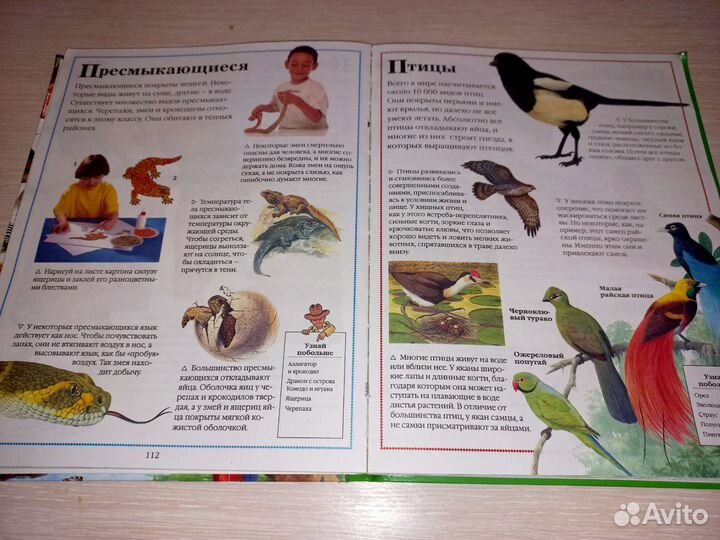 Энциклопедия для детей