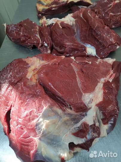 Продам мясо говядина, крупный кусок оптом