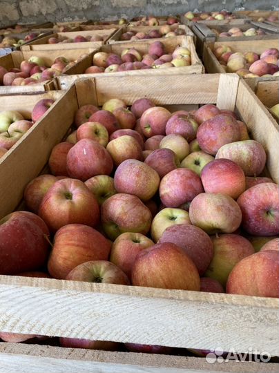 Яблоки флорина