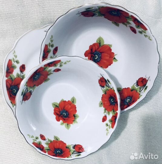 Polsport.Polsca+Salomon.France-лыжи с креплениями