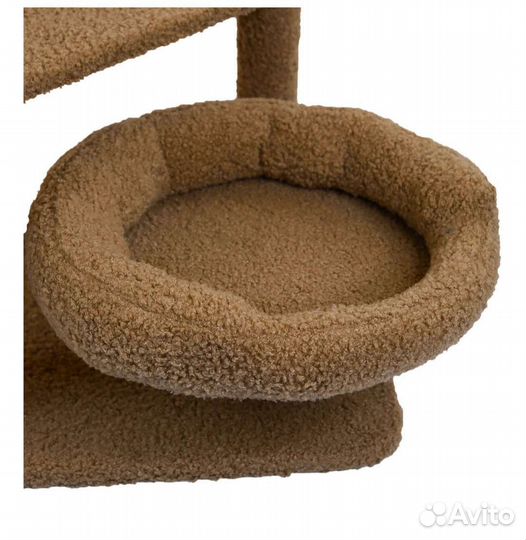 Когтеточка