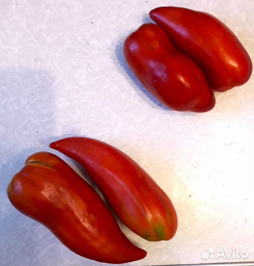 Семена сортовых томатов