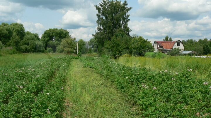 Участок 25 сот. (ИЖС)