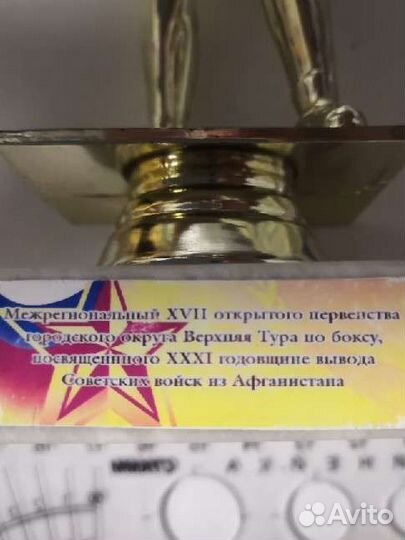 Кубок по боксу