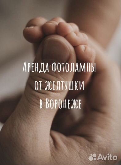 Аренда лампы от желтушки