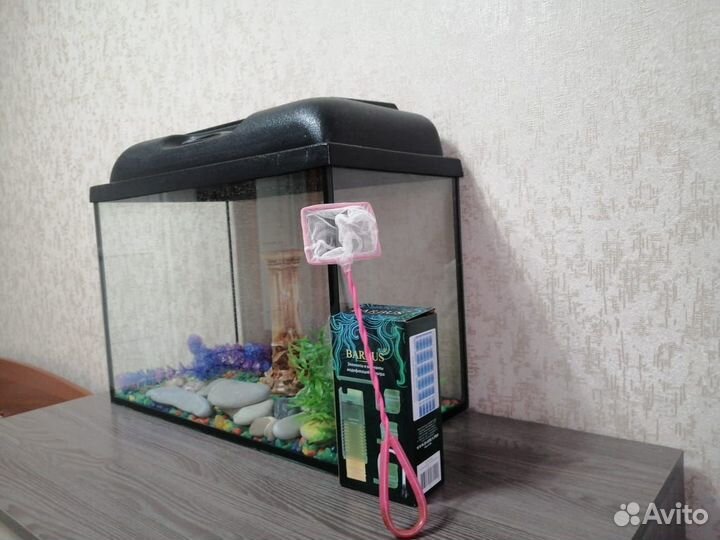 Аквариум новый