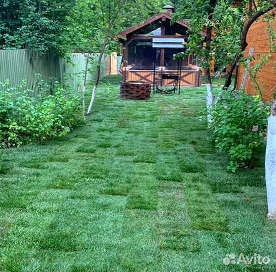 Газон. Рулонный газон