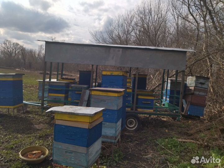 Пчелоприцеп легковой