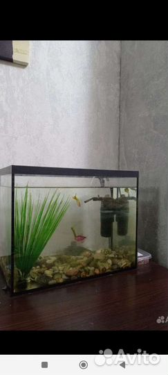 Аквариум