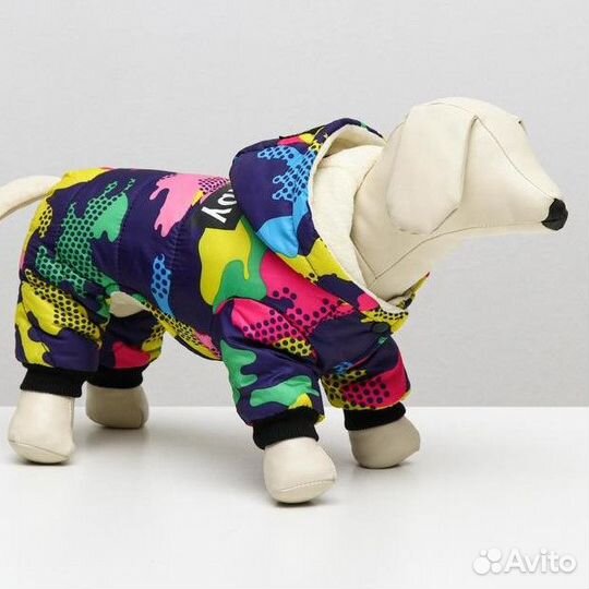 Одежда для собак